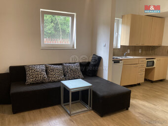 Pronájem bytu 2+kk, 45 m², Ves Touškov - 9