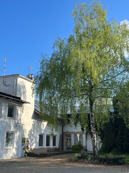 Pronájem pěkného 1 a 2-lůžkového pokoje v Holicích - 9