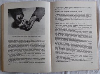 Práce včelára - Ján Milla - 9