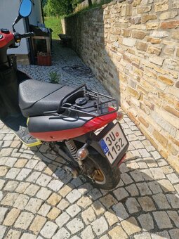 Motorro Polly 50 2T - 9
