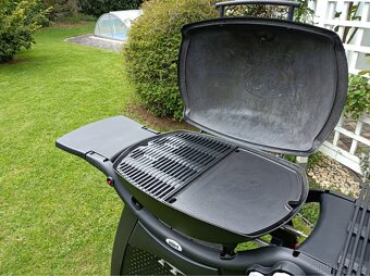 Weber Q3000 Gril - 9