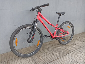Specialized Hotrock 24" - 9
