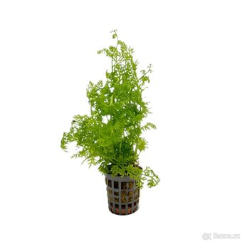 Akvárium / Akvárko / aquarium 112l a stojan - 9