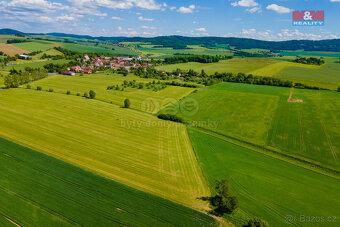 Prodej louky, 2373 m², Blížejov - 9
