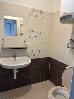 Pronájem bytu - Teplice, Košťany - 9