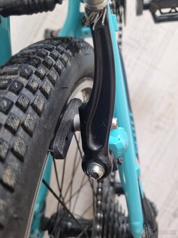 Scott Contessa 20 - 9