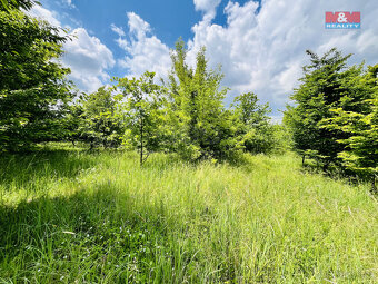 Prodej pozemku, 1026 m², Veselí nad Moravou - 9