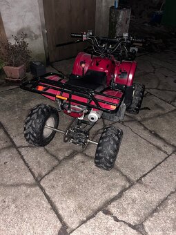 Čtyřkolka 110ccm - 9