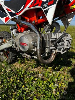 Pitbike Kayo TD125 - 9
