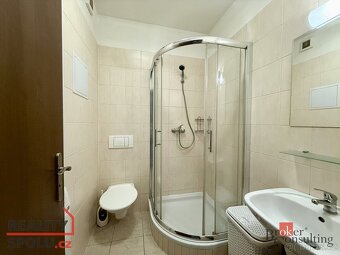 Pronájem, byty/1+kk, 39 m2, 51702 Kvasiny, Rychnov nad Kněžn - 9