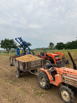 Kombajn na brambory Karlik z 642 - 9