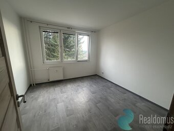 Pronájem bytu 3+1 v Borovanech - 9