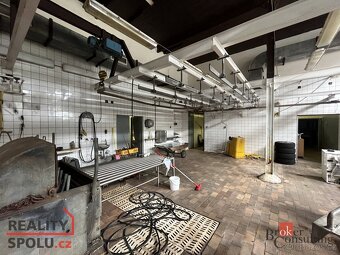Pronájem, komerční/výroba, 180 m2, Vojenice 8, 33808 Kladrub - 9