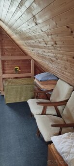 Velké Bílovice-pronájem chaty s loďkou - 9