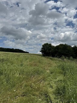 Prodám pozemky v k.ú. Labutice - 9