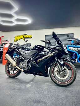 Kawasaki Ninja 250r 2010 - 9