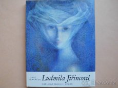 Sbírání porcelánu+grafiky,životopisy malířů,dějiny umění atd - 9