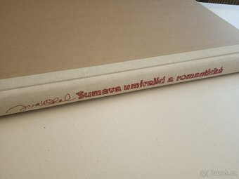 Šumava umírající a romantická - 9