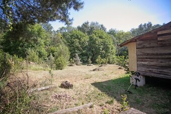 Prodej zahrady 3146 m2 Louny Lužerady - 9