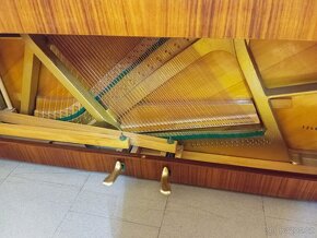 August Forster mod.105- Dovoz po ČR zdarma 24/7 - 9