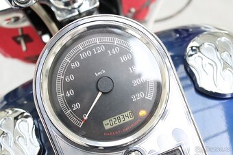 Harley Davidson FLSTN Softail Deluxe 2007 28 tis. km - 9