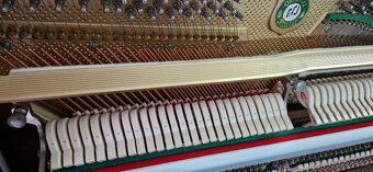 Piano Rösler 126 - Petrof - Renner r. v. 2003 - 9