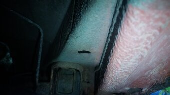 Škoda Felicia 1,3 GLXi - 9