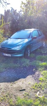 Peugeot 206 - 9