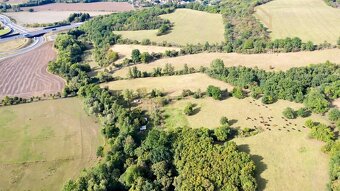 Prodej, pozemek,  7500 m2,  Řehlovice-Stadice - 9