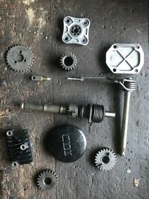 Dily pitbike 125 - 9