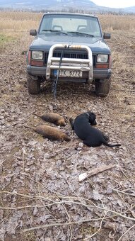 Jeep Cherokee XJ 4.0 1989 - 9