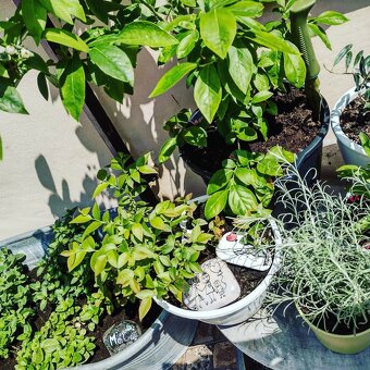 Truhluiky aj na zahradku - 9