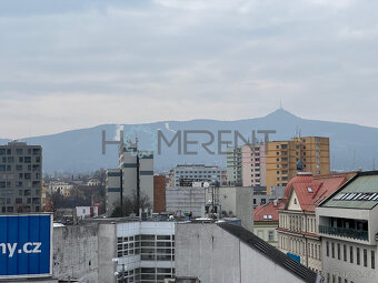 Prodej investičního bytu 3+1 v domě U Orla (119m2) v centru - 9