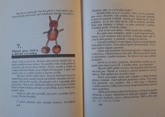 Mikulášovy patálie + Kaštan první třídy - 9