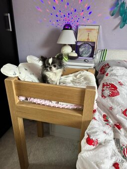 Pelech-pelíšek pro psa - 9