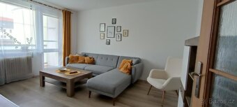 Pronájem 2+1 Koželužská - 9