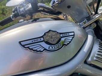 Harley Davidson V-ROD - 9