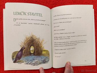 TAJEMSTVÍ KOUZELNÉHO PÍRKA - V.Šoltys - 9
