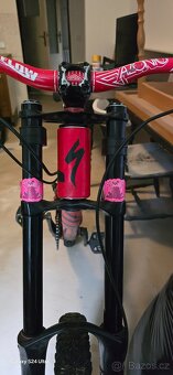 Specialized status Fr 2 - 9