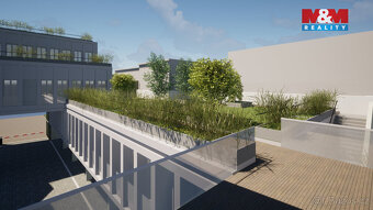 Pronájem komerčních prostor,120 m², Opava, Masarykova třída - 9