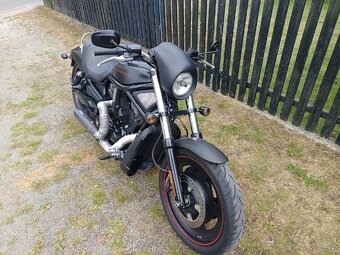 Harley Davidson VRSCDX Night Rod Special - 9