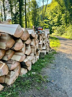 Prodej palivového dřeva - 9