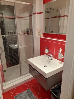 Prodej bytu 1+1/ apartment for sale 33 m², Brno-Kohoutovice - 9