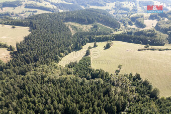 Prodej lesa, 8743 m², Valašská Senice - 9