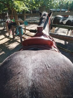 Westernové sedlo wade Šafář - 9