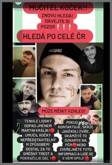kočka ústí n.l. - 9