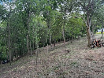 Stavební pozemek 1 528 m² u potoka – v chatařské osadě - 9