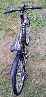 Horské kolo Alpina ECO M10 - 9