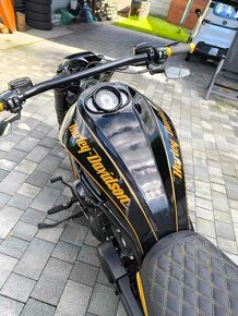 Prodám Harley Davidson - 9