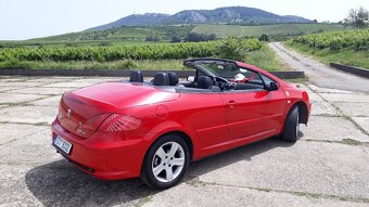 Peugeot 307 cc cabrio - 9